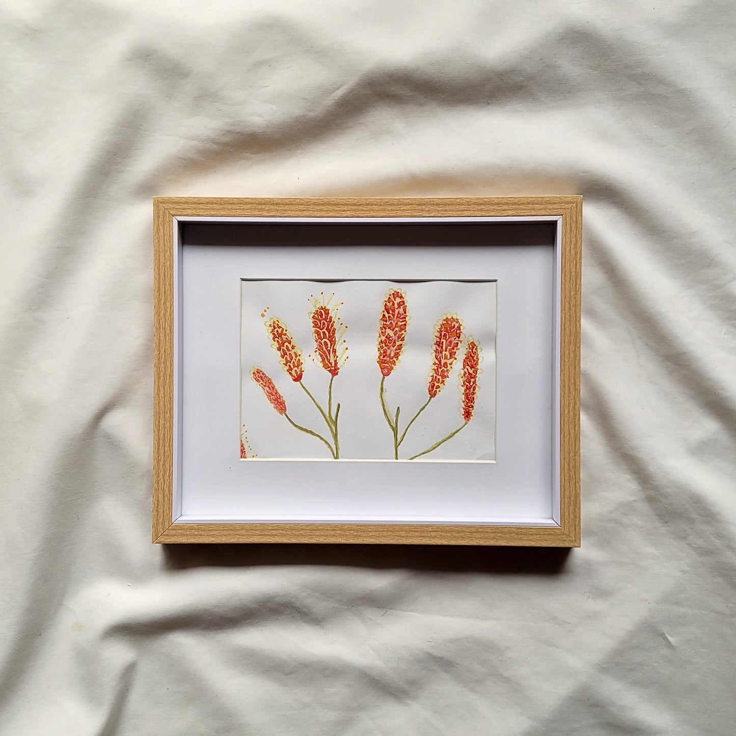 Grevillea - Framed Original Artwork